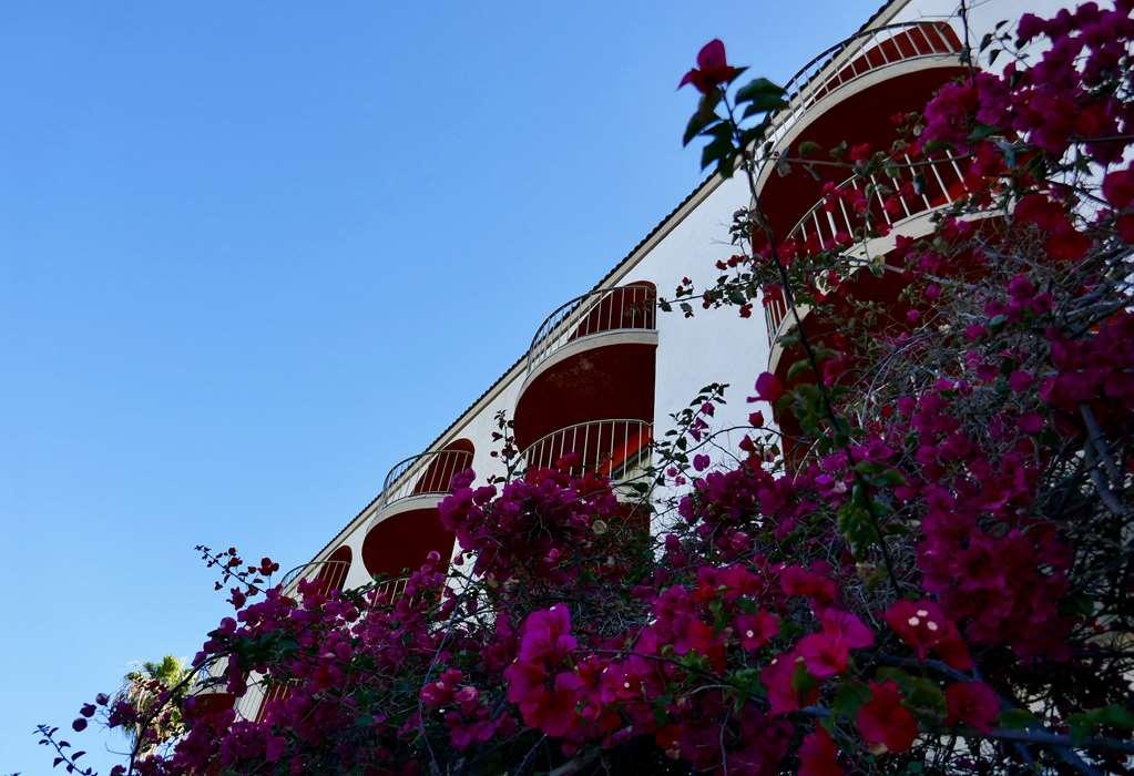 Golden Sails Hotel Long Beach Einrichtungen foto