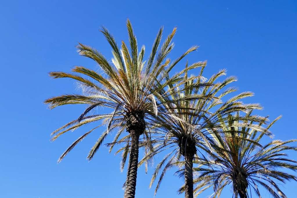 Golden Sails Hotel Long Beach Einrichtungen foto