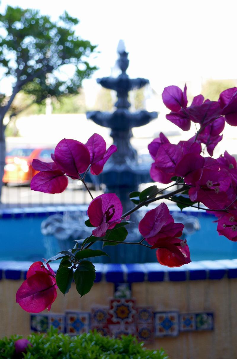 Golden Sails Hotel Long Beach Exterior foto