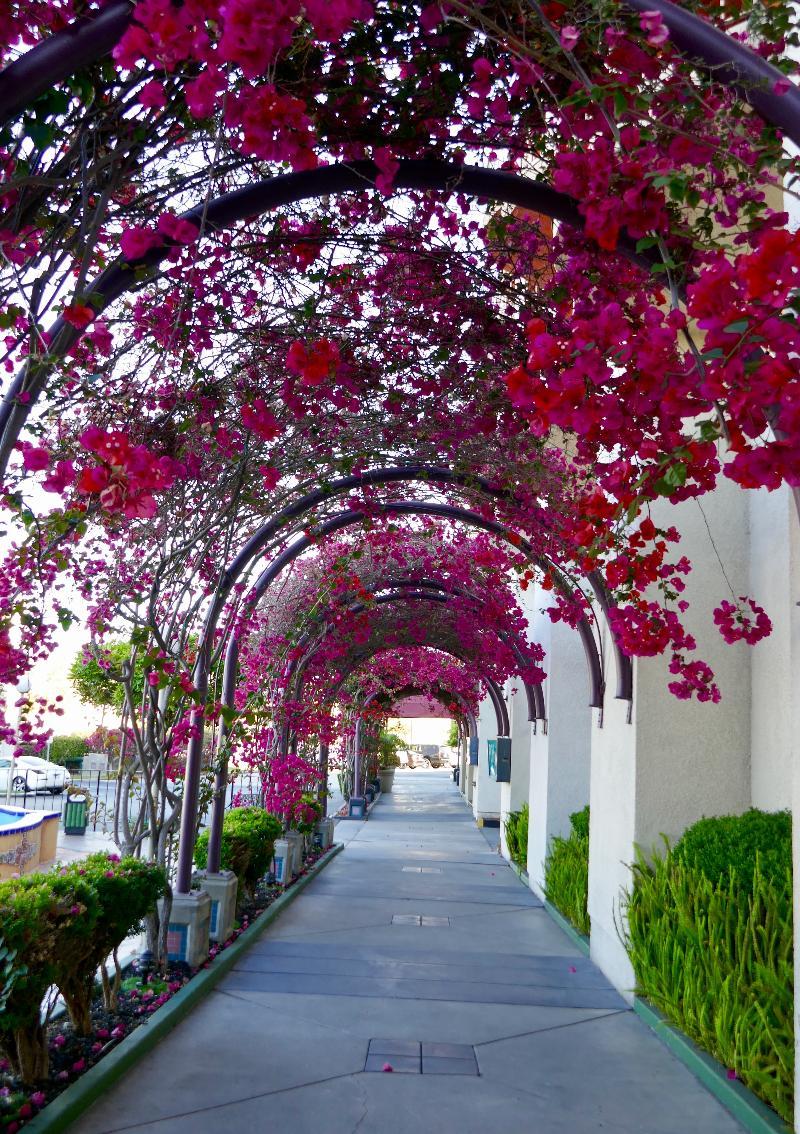 Golden Sails Hotel Long Beach Exterior foto